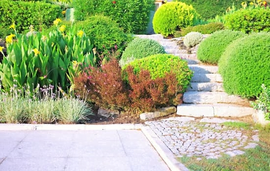 Landscaping For Your Location – How To Choose The Right Plants