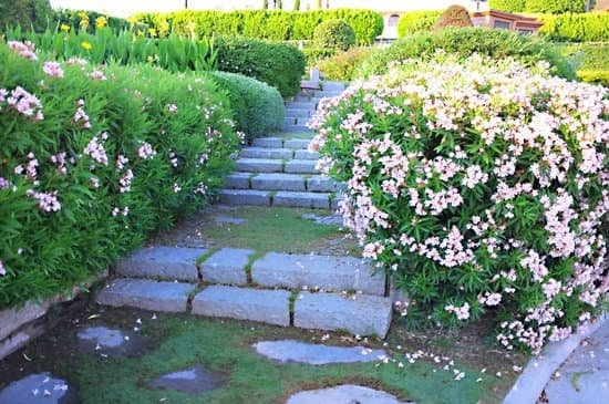 Landscaping Tips That You Need To Know