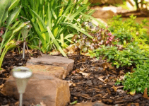 Make The Yard Of Your Dreams With These Landscaping Tips