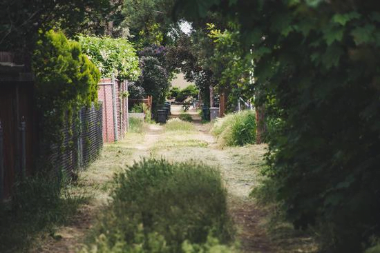 Tips For Starting a Garden in Winter