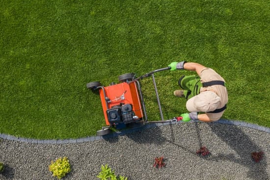What You Need to Know Before You Start Doing Your Own Landscaping