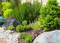 Where To Find Great Outdoor Landscaping Ideas