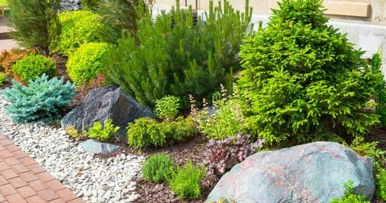 Where To Find Great Outdoor Landscaping Ideas