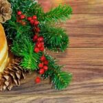 How to Decorate a Christmas Cake Step-by-step guide on how to decorate a Christmas cake with festive icing and designs