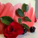 How Much Do Cake Decorators Make at Publix Salary range for cake decorators at Publix and their average earnings