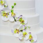 How to Make Butterfly Cake Decorations Step-by-Step Guide on How to Make Butterfly Cake Decorations: Simple Yet Beautiful