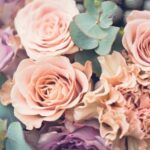 What to Wear Under Wedding Dress What to Wear Under Wedding Dress: Bridal Lingerie Guide