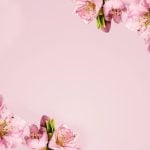 How to Congratulate a Wedding How to congratulate a wedding couple with heartfelt words and thoughtful gestures