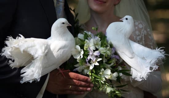 What to Wear for Weddings 1 Elegant formal attire for a classic wedding ceremony