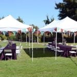 What Is a Wedding Rehearsal a practice run before the big day