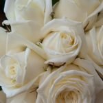 What Are the Traditional Wedding Vows Image showing handwritten traditional wedding vows with beautiful calligraphy and decorative details