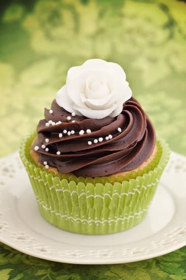 step-by-step guide for beginners