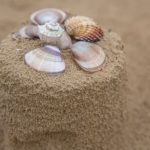 How to decorate a cake with icing at home