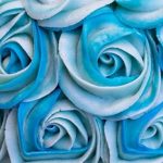 How to Decorate a Square Cake With Buttercream Icing Videos How to decorate a square cake with buttercream icing tutorials for beginners