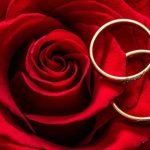 Where to Register Wedding Choosing the Perfect Registry for Your Big Day